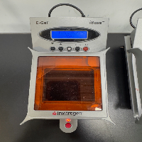 Invitrogen E-Gel iBase Safe Imager Real Time Transilluminator - Quantity 2 image 2